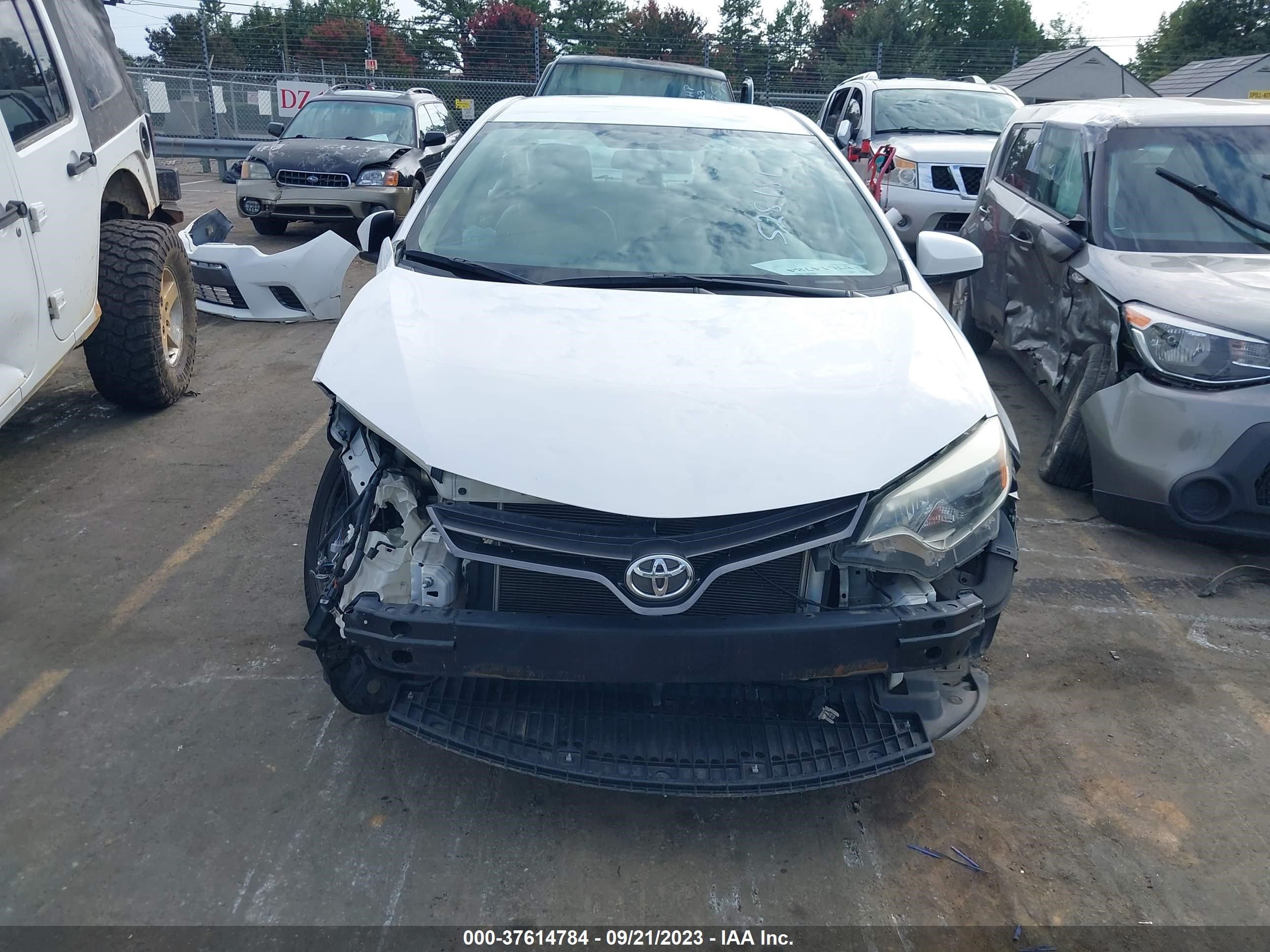 Photo 12 VIN: 2T1BURHE3GC528181 - TOYOTA COROLLA 