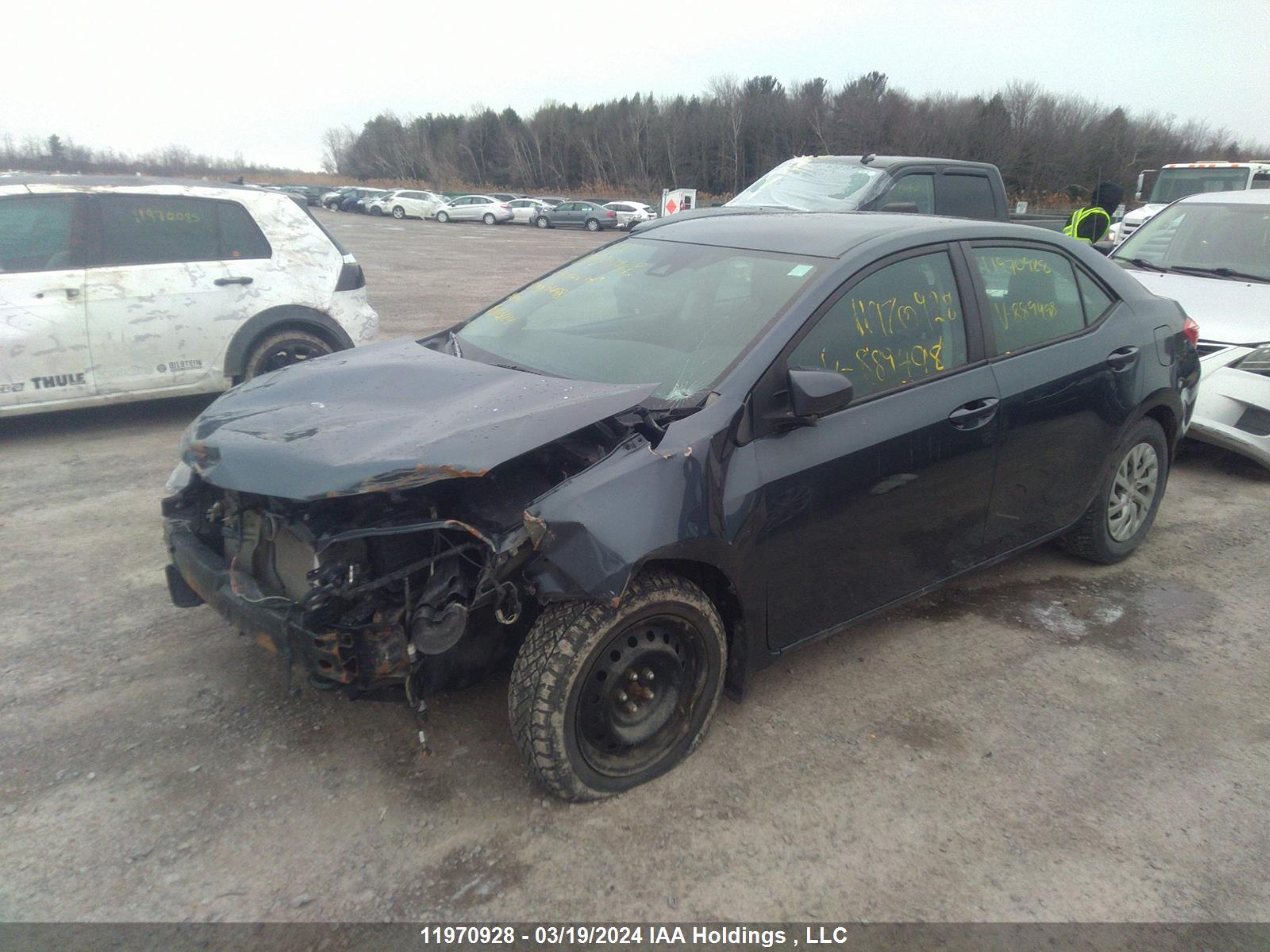 Photo 1 VIN: 2T1BURHE4HC889498 - TOYOTA COROLLA 