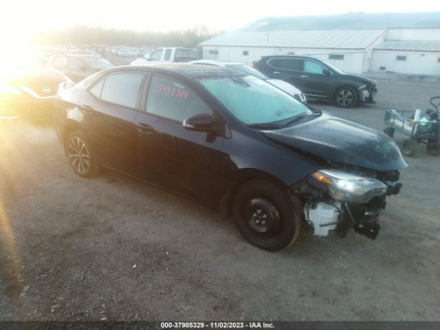 Photo 0 VIN: 2T1BURHE4JC973679 - TOYOTA COROLLA 