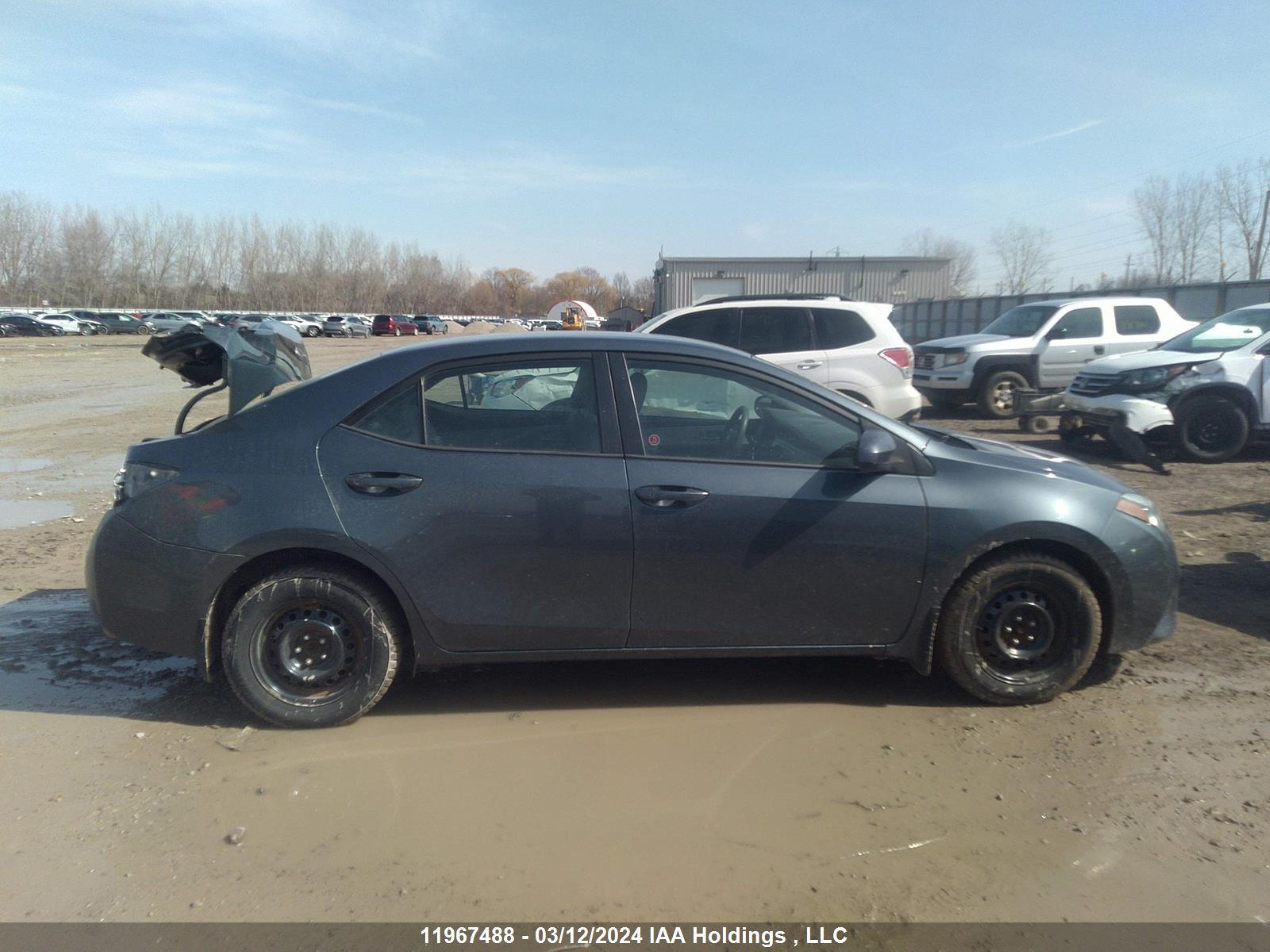 Photo 12 VIN: 2T1BURHE5FC450257 - TOYOTA COROLLA 