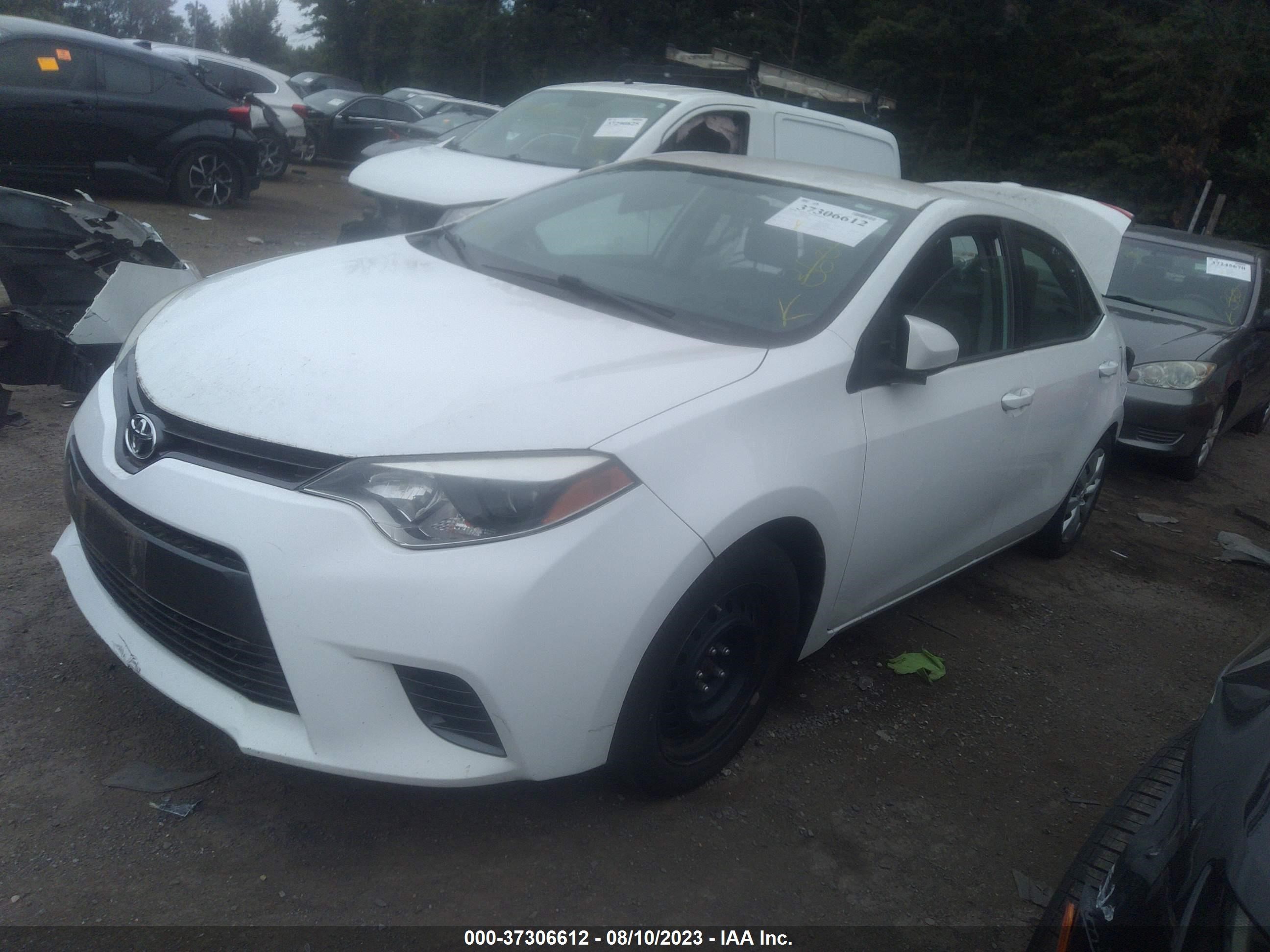 Photo 1 VIN: 2T1BURHE6GC554581 - TOYOTA COROLLA 