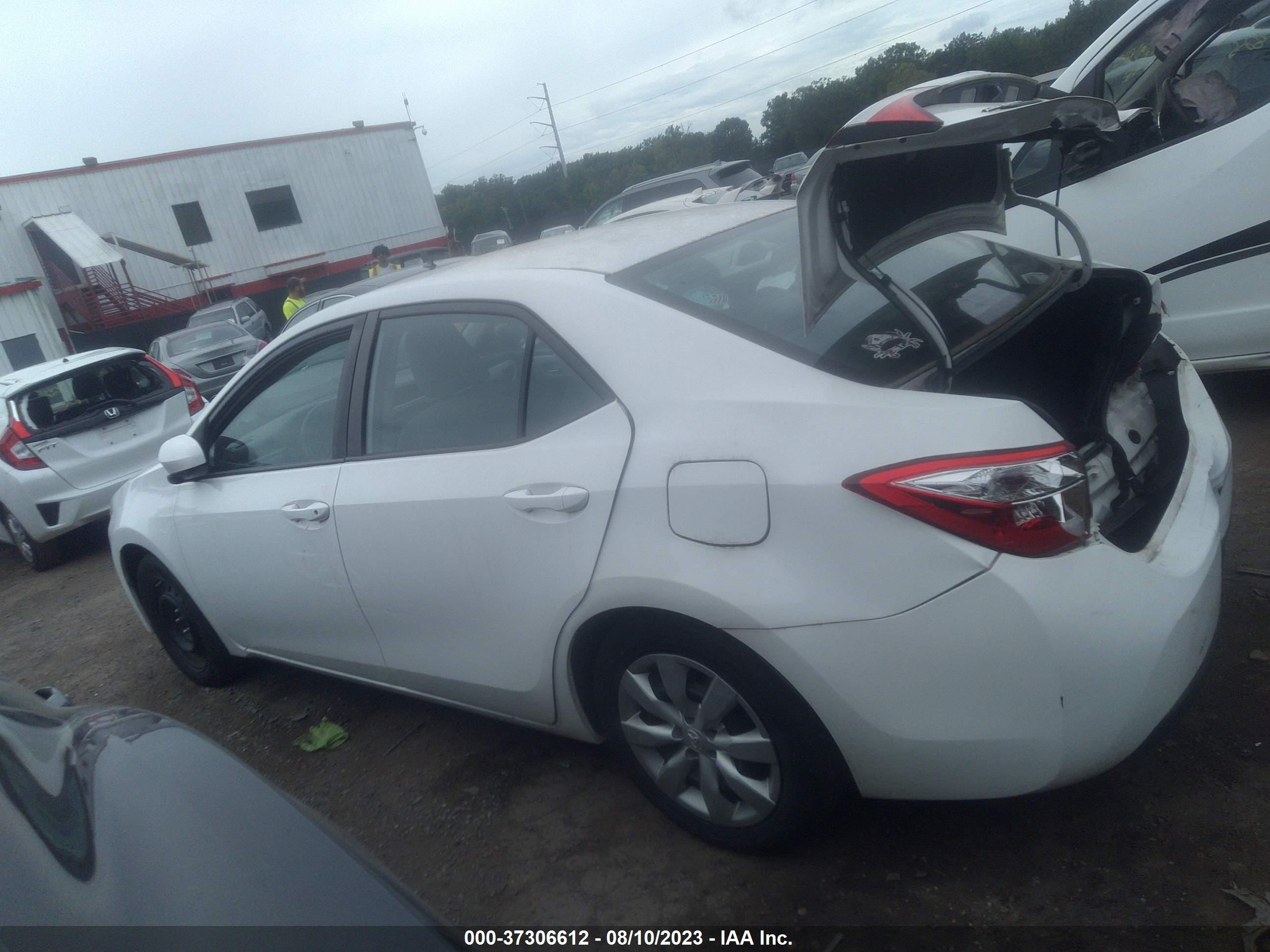 Photo 13 VIN: 2T1BURHE6GC554581 - TOYOTA COROLLA 