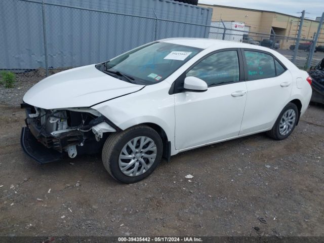 Photo 1 VIN: 2T1BURHE6HC775244 - TOYOTA COROLLA 