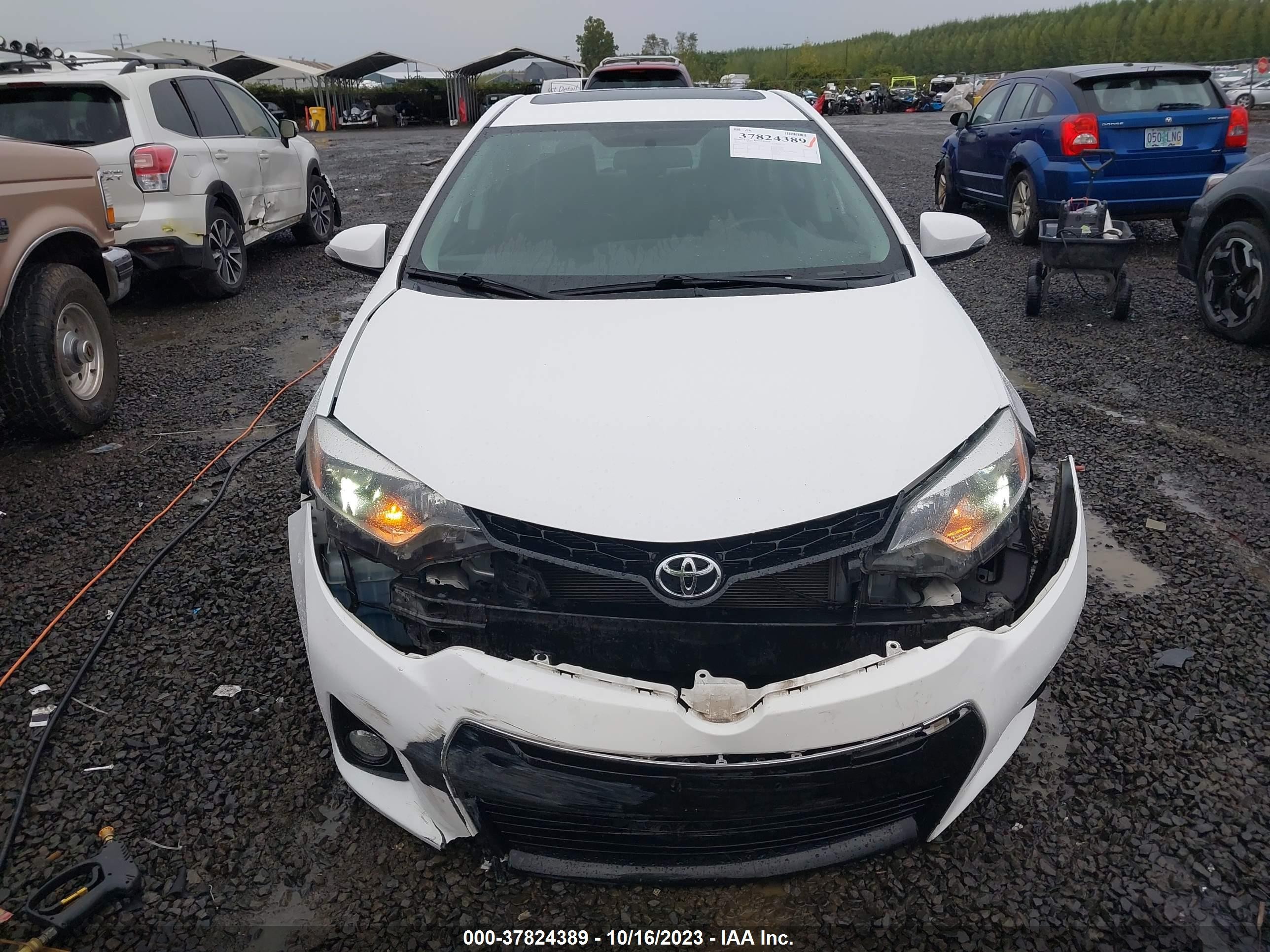 Photo 12 VIN: 2T1BURHE7FC237925 - TOYOTA COROLLA 