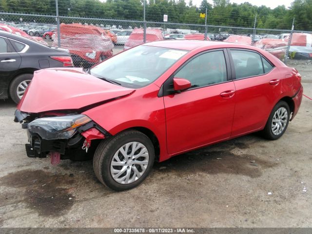 Photo 1 VIN: 2T1BURHE7KC184962 - TOYOTA COROLLA 