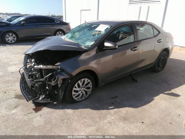 Photo 1 VIN: 2T1BURHE9JC115530 - TOYOTA COROLLA 