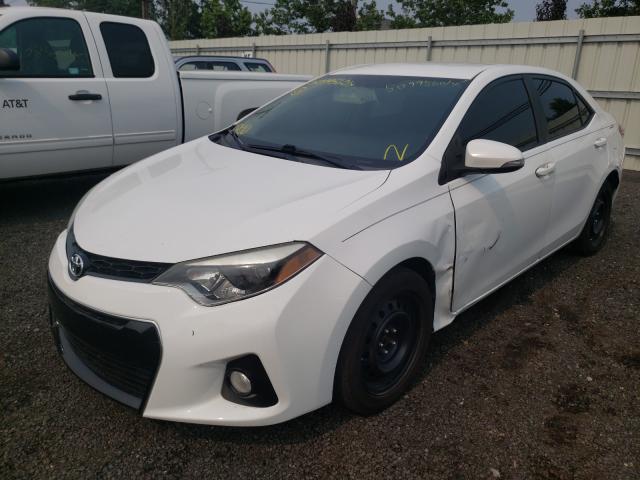 Photo 1 VIN: 2T1BURHEXEC126512 - TOYOTA COROLLA L 