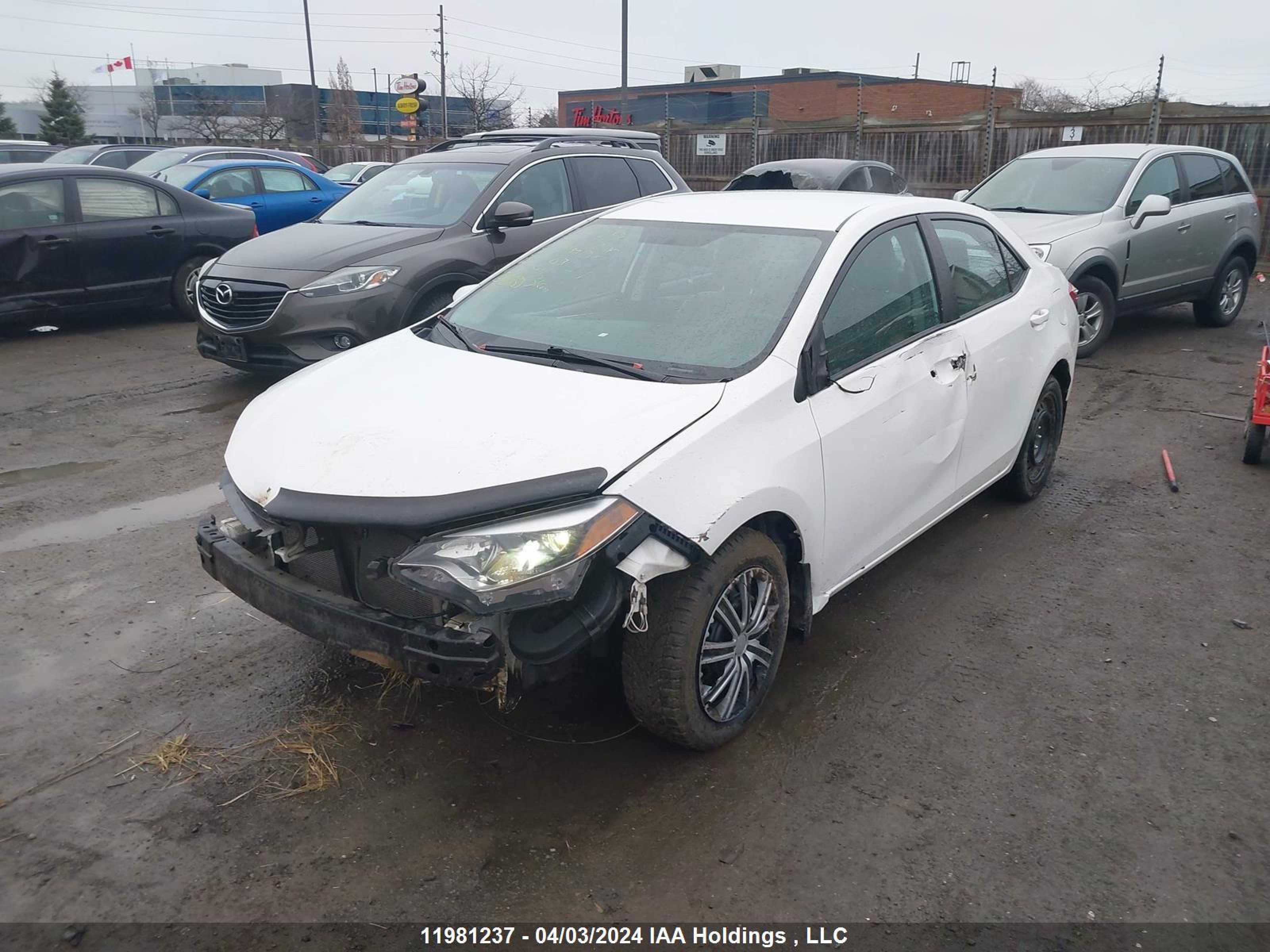 Photo 1 VIN: 2T1BURHEXGC670947 - TOYOTA COROLLA 