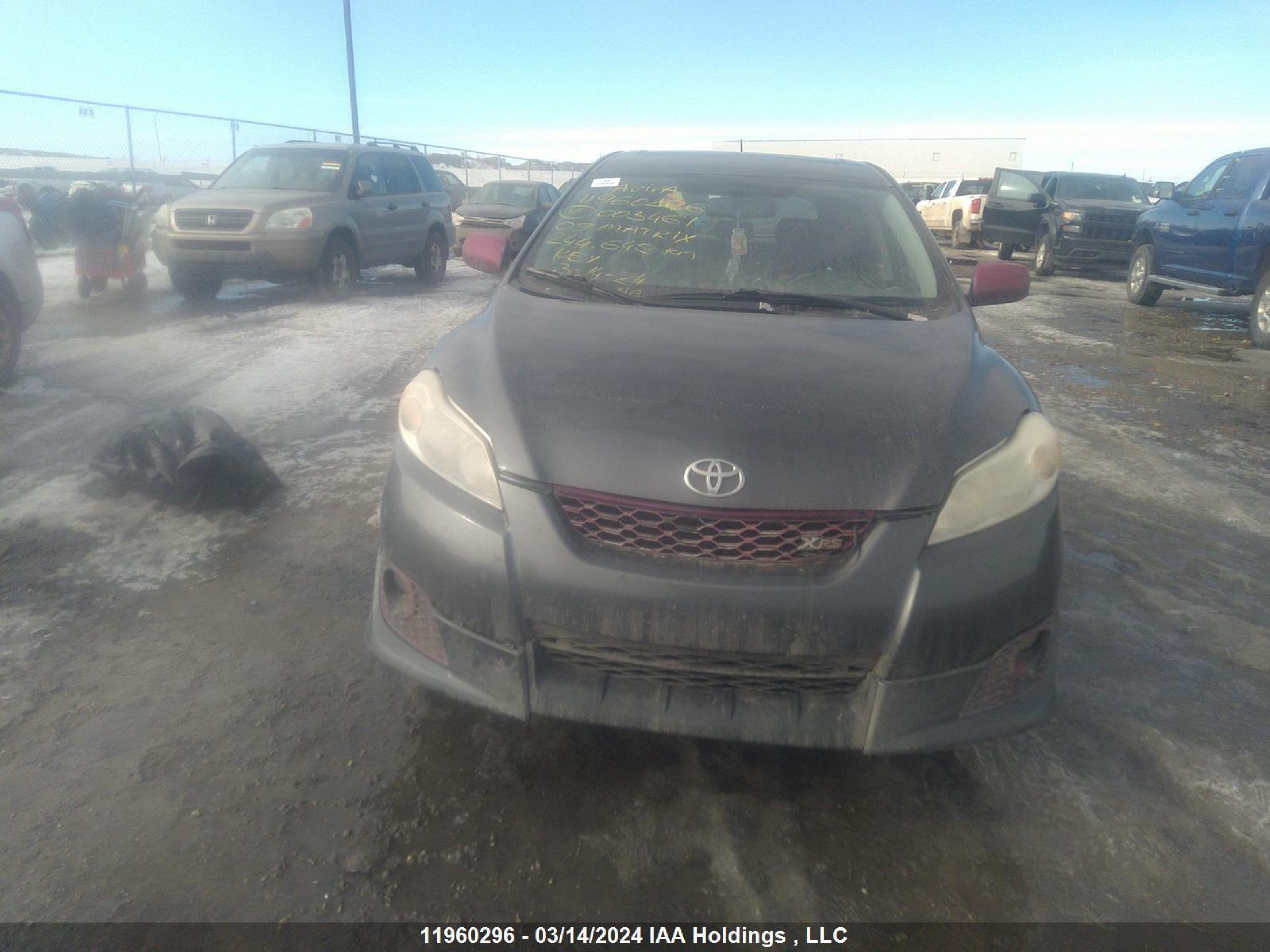 Photo 11 VIN: 2T1GE40E89C003461 - TOYOTA MATRIX 