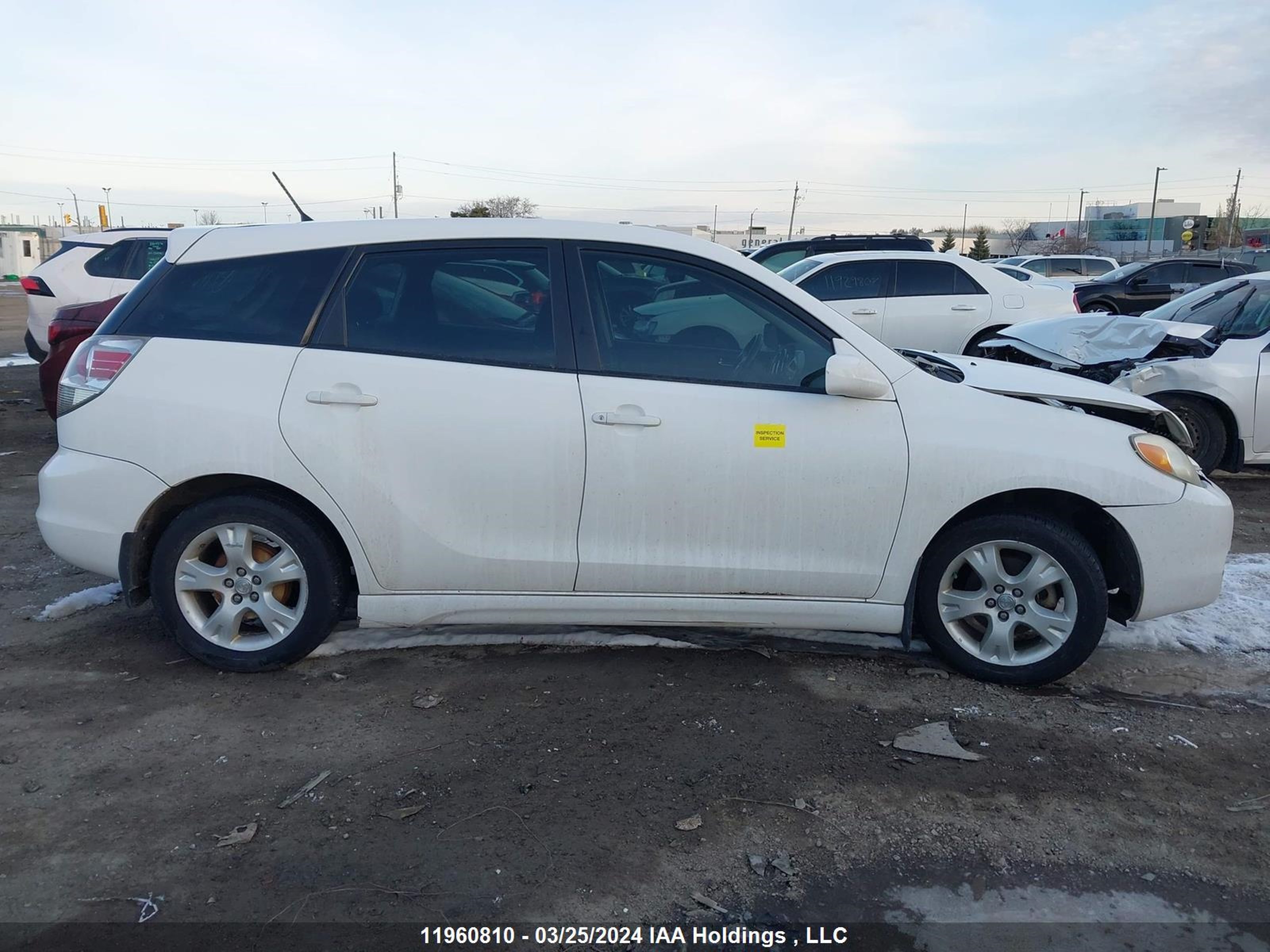 Photo 12 VIN: 2T1KR32E76C555356 - TOYOTA MATRIX 