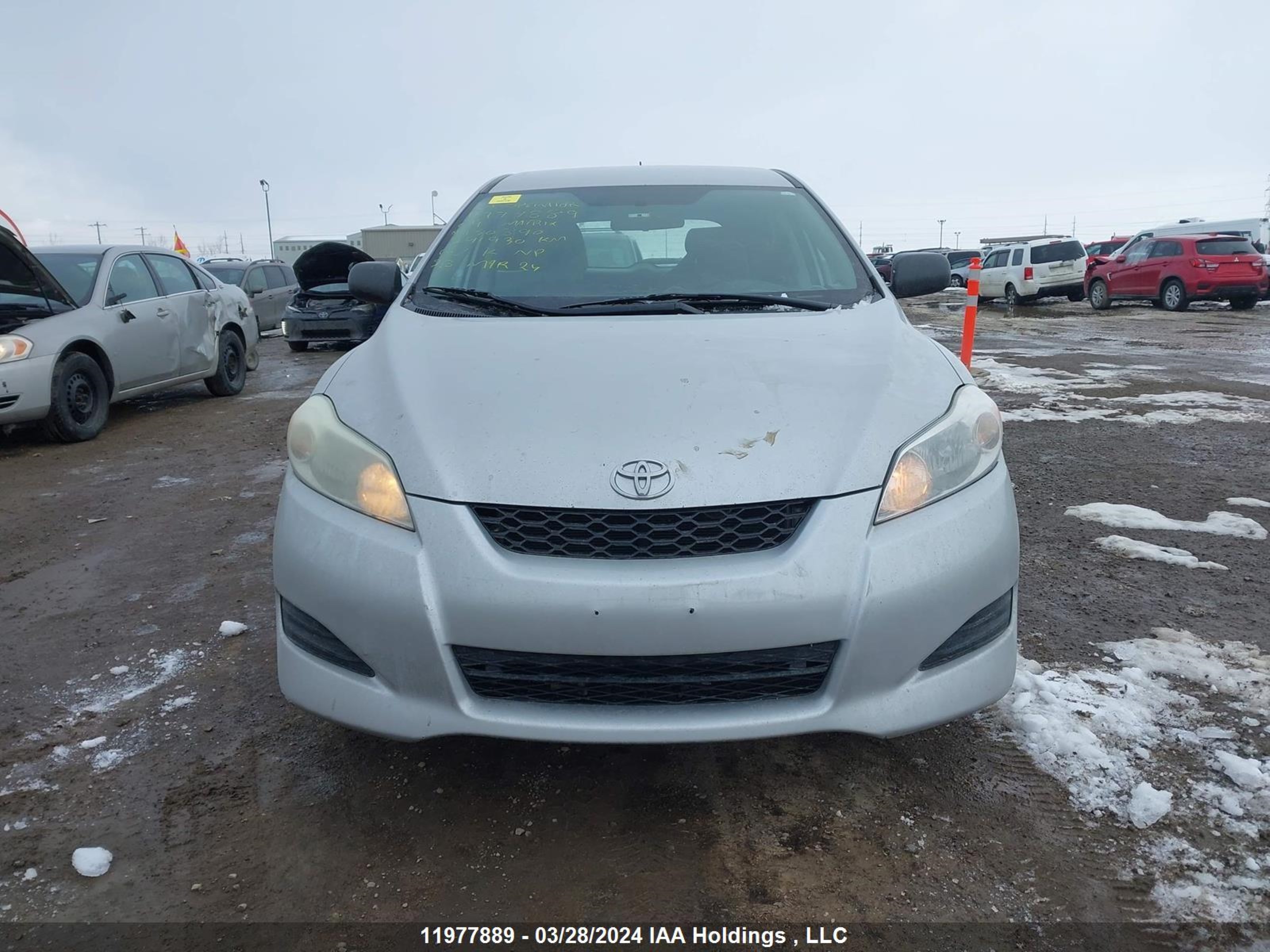 Photo 12 VIN: 2T1KU40E19C130890 - TOYOTA MATRIX 