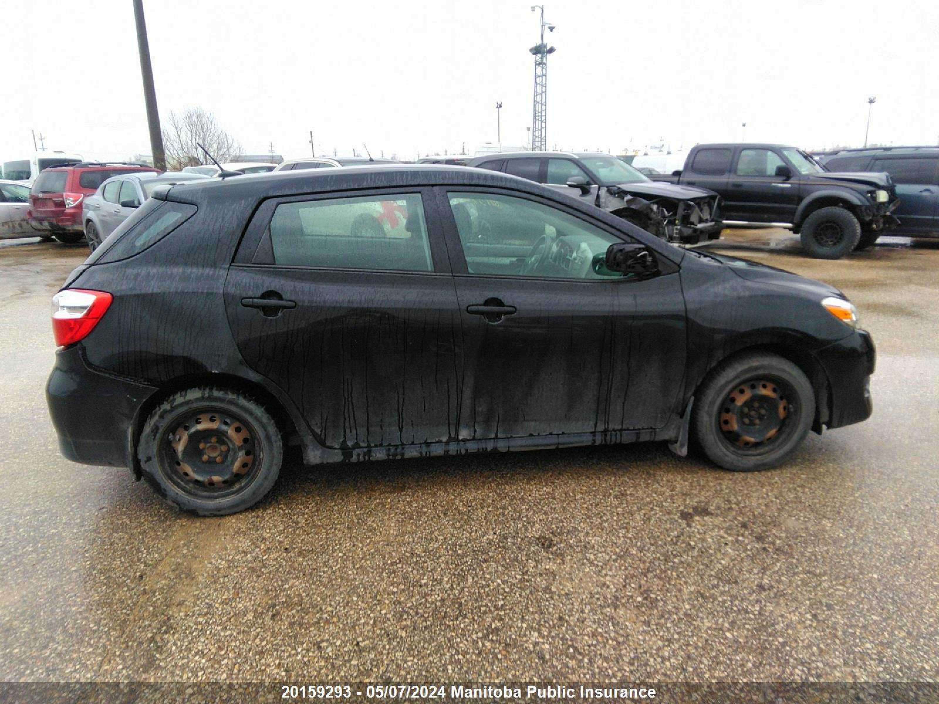 Photo 12 VIN: 2T1KU40E39C060146 - TOYOTA MATRIX 