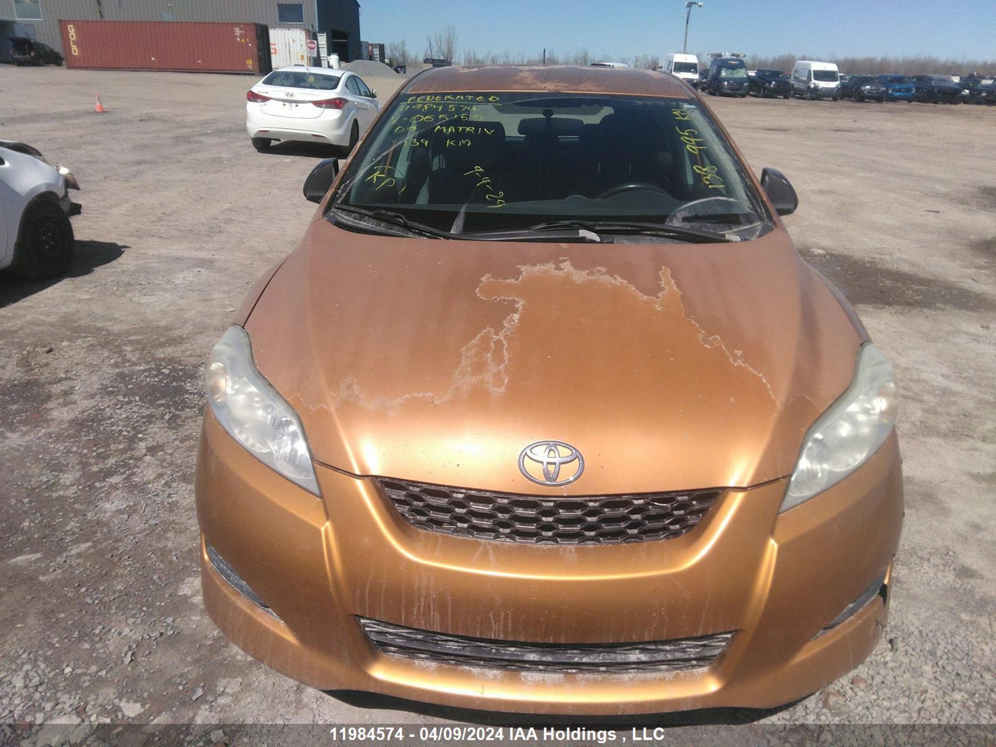 Photo 12 VIN: 2T1KU40E89C065150 - TOYOTA MATRIX 