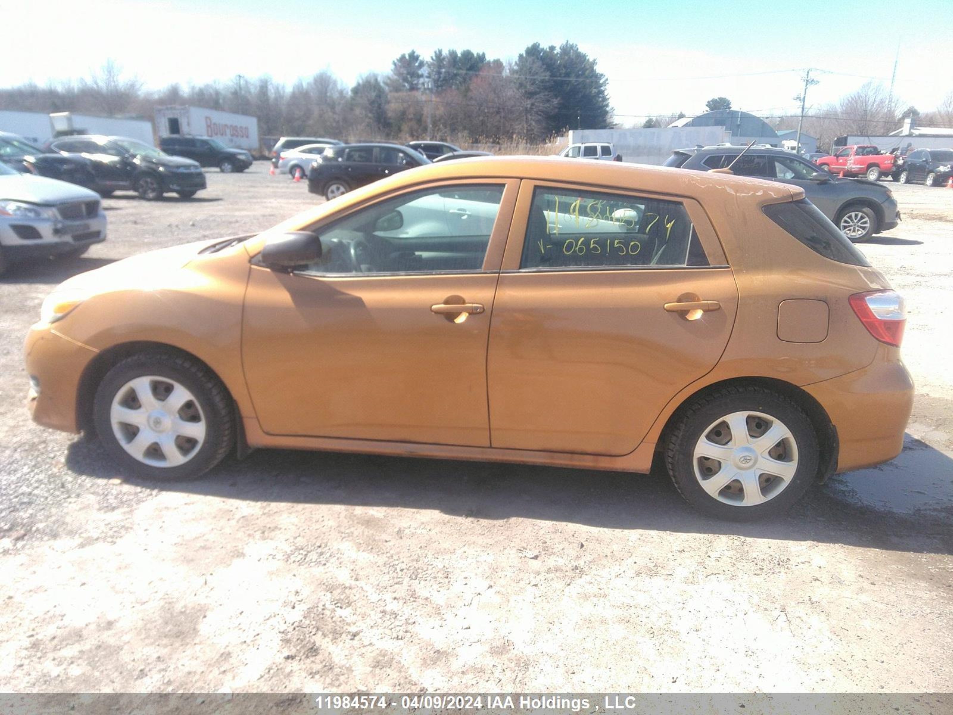 Photo 14 VIN: 2T1KU40E89C065150 - TOYOTA MATRIX 