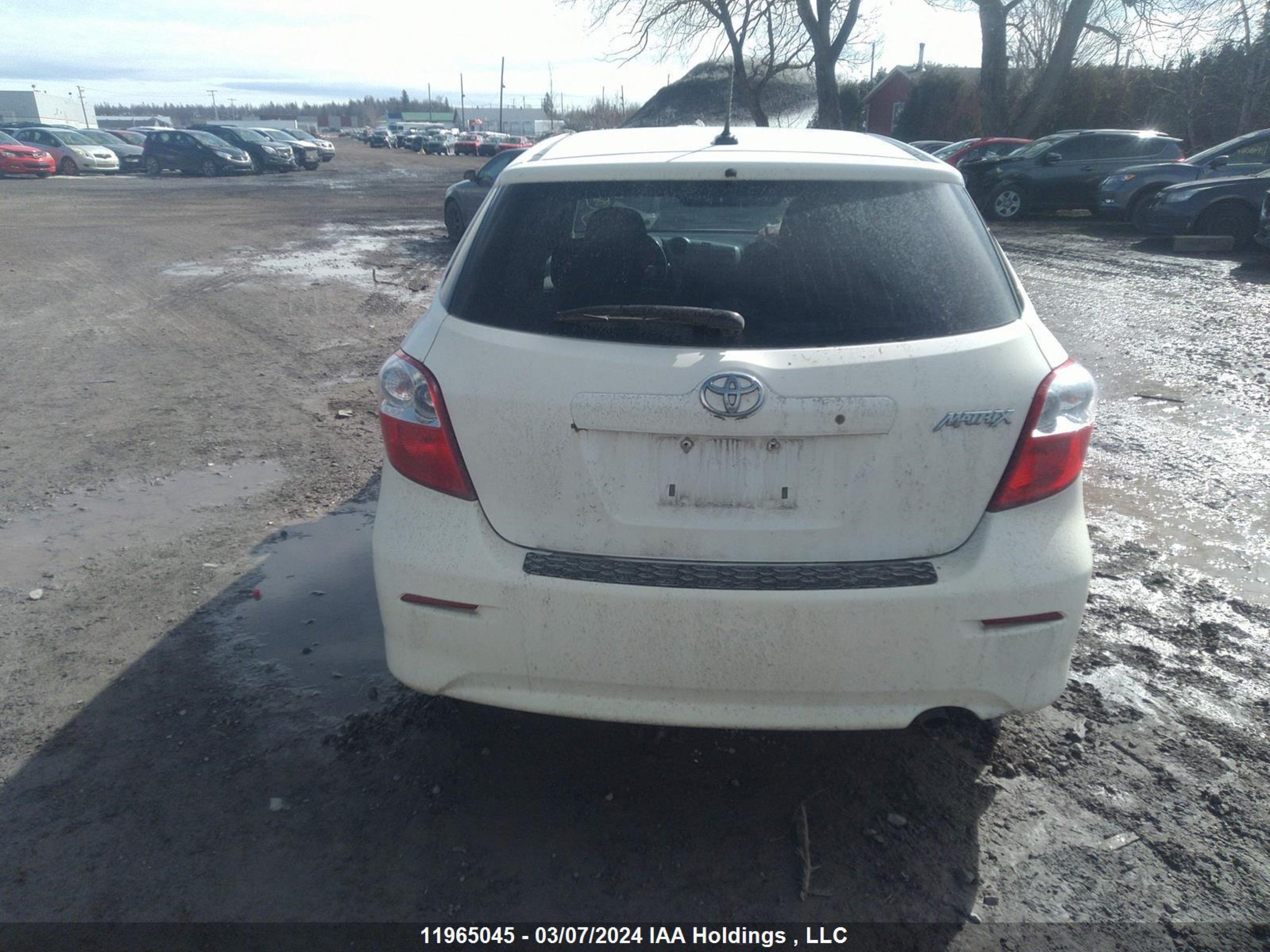 Photo 15 VIN: 2T1KU4EE2BC619412 - TOYOTA MATRIX 