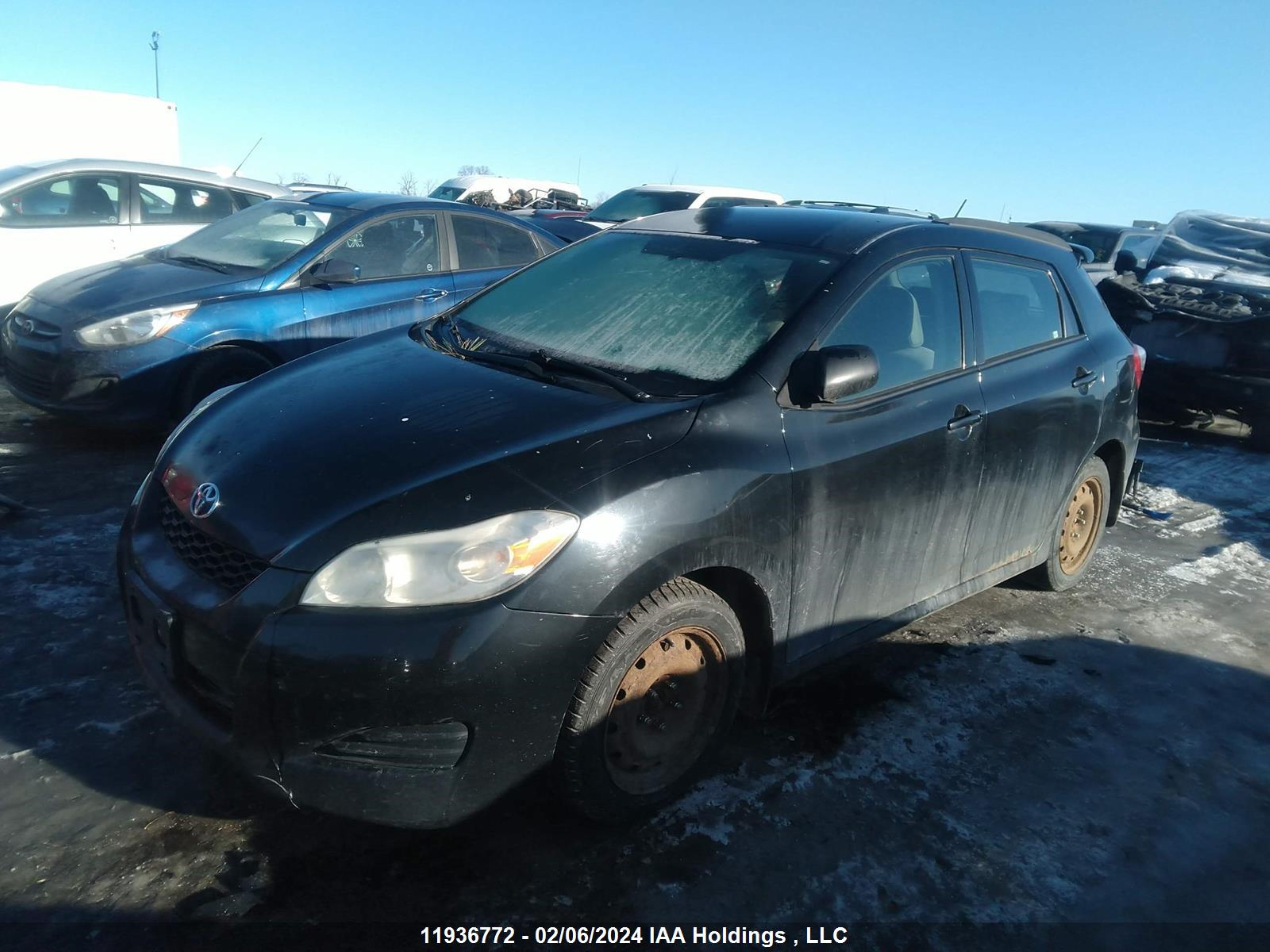 Photo 1 VIN: 2T1LE40E69C003411 - TOYOTA MATRIX 