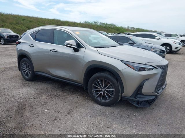 Photo 0 VIN: 2T2ADCAZ0RC008282 - LEXUS NX 