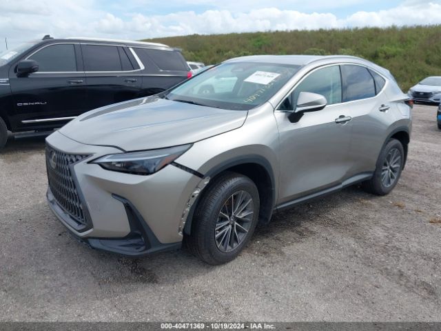 Photo 1 VIN: 2T2ADCAZ0RC008282 - LEXUS NX 