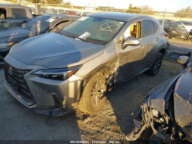 Photo 1 VIN: 2T2ADCAZ1RC007027 - LEXUS NX 