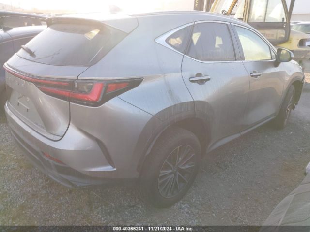 Photo 3 VIN: 2T2ADCAZ1RC007027 - LEXUS NX 