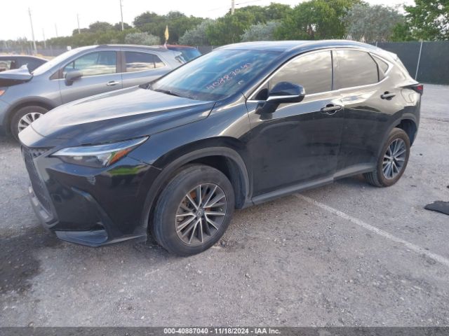 Photo 1 VIN: 2T2ADCAZ2PC005669 - LEXUS NX 