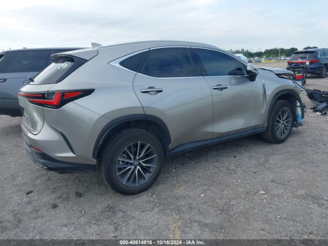 Photo 3 VIN: 2T2ADCAZ3RC007935 - LEXUS NX 