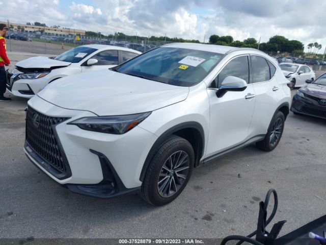 Photo 1 VIN: 2T2ADCAZ4NC001619 - LEXUS NX 250 