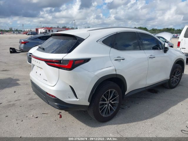 Photo 3 VIN: 2T2ADCAZ4NC001619 - LEXUS NX 250 