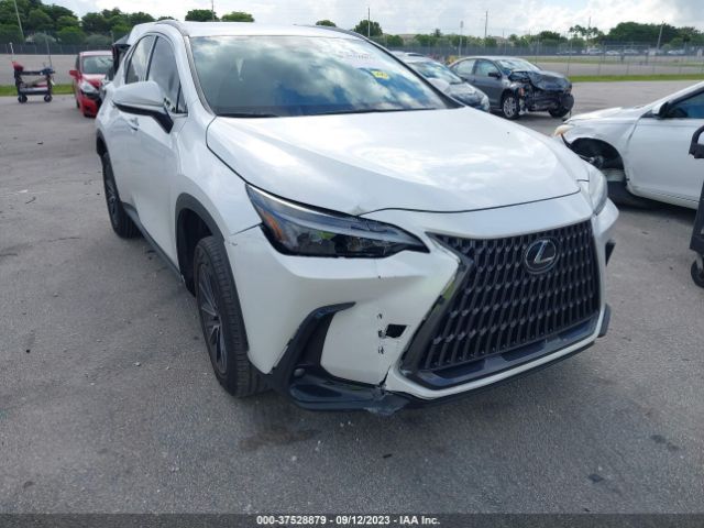 Photo 5 VIN: 2T2ADCAZ4NC001619 - LEXUS NX 250 