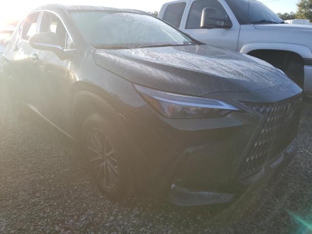 Photo 3 VIN: 2T2ADCAZ4NC002446 - LEXUS NX 250 