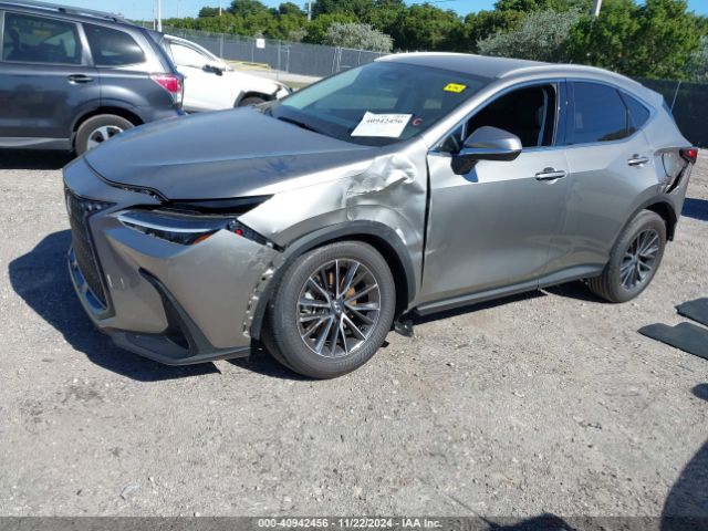 Photo 1 VIN: 2T2ADCAZ4RC007572 - LEXUS NX 