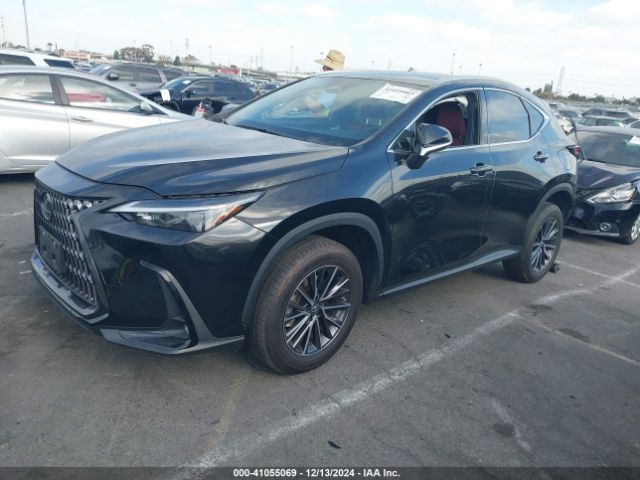 Photo 1 VIN: 2T2ADCAZ6NC001203 - LEXUS NX 