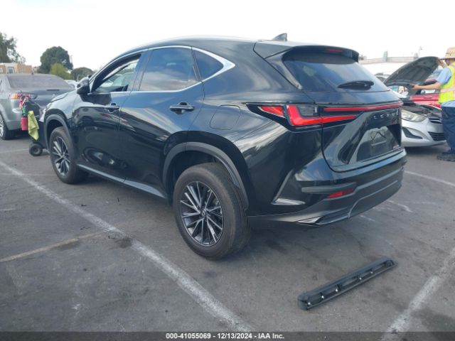 Photo 2 VIN: 2T2ADCAZ6NC001203 - LEXUS NX 