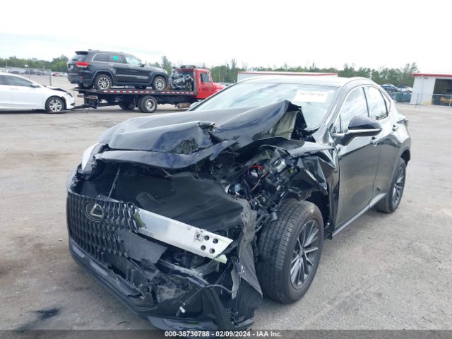 Photo 1 VIN: 2T2ADCAZ7PC005683 - LEXUS NX 250 