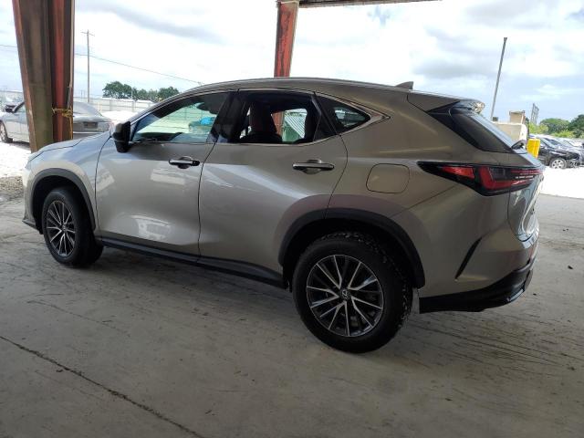 Photo 1 VIN: 2T2ADCAZXRC007222 - LEXUS NX 250 BAS 