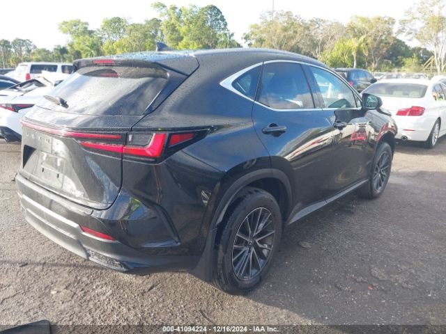 Photo 3 VIN: 2T2ADCAZXRC014428 - LEXUS NX 