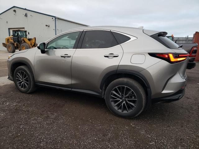 Photo 1 VIN: 2T2ADCEZ2PC003396 - LEXUS NX 250 