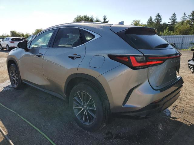 Photo 1 VIN: 2T2ADCEZ2PC003530 - LEXUS NX 250 