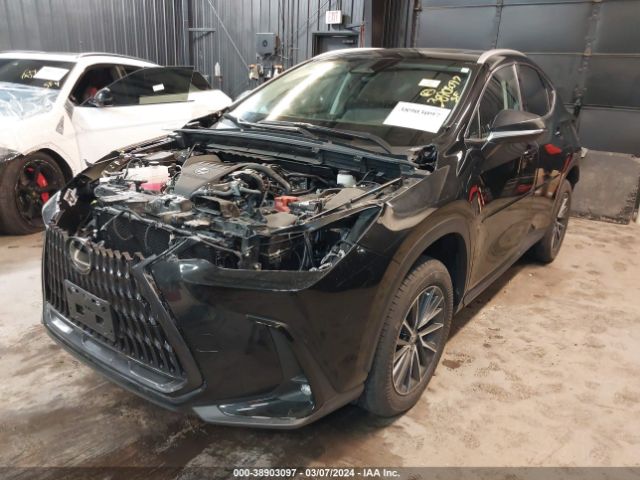 Photo 1 VIN: 2T2AGCEZ2PC018374 - LEXUS NX 350 