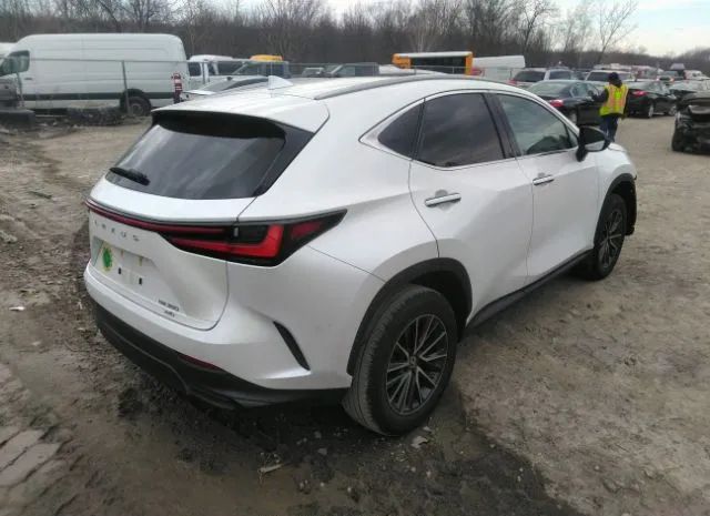 Photo 3 VIN: 2T2AGCEZ3NC009387 - LEXUS NX 