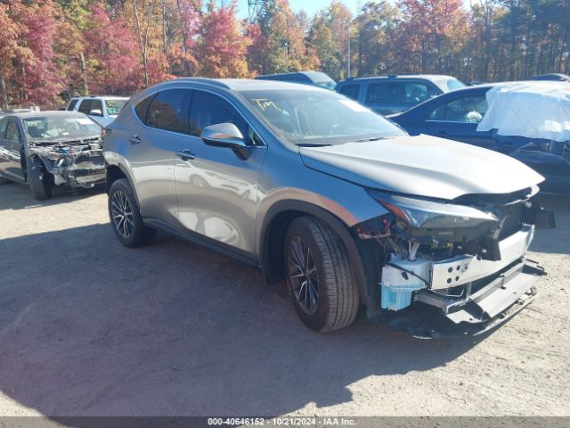 Photo 0 VIN: 2T2AGCEZ3RC045926 - LEXUS NX 