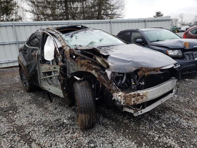 Photo 3 VIN: 2T2AGCEZ4NC012248 - LEXUS NX 350 