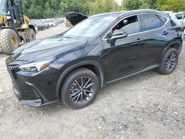 Photo 0 VIN: 2T2AGCEZ4SC063101 - LEXUS NX 350 BAS 