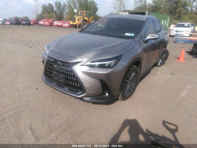 Photo 1 VIN: 2T2AGCEZ5NC002893 - LEXUS NX 