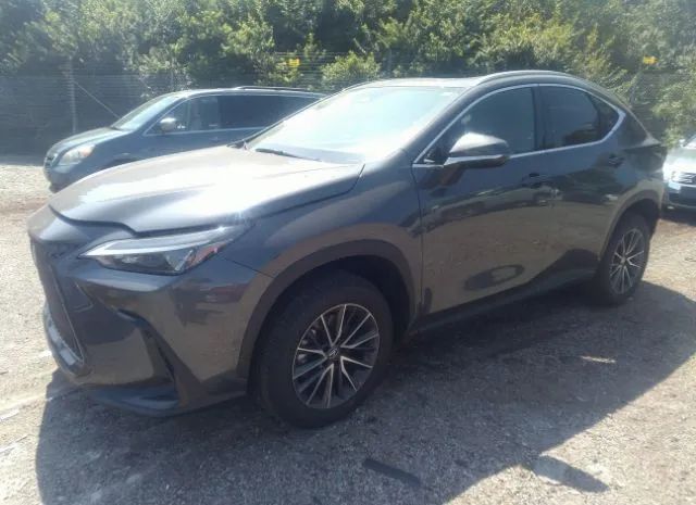 Photo 1 VIN: 2T2AGCEZ5PC017560 - LEXUS NX 