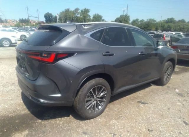 Photo 3 VIN: 2T2AGCEZ5PC017560 - LEXUS NX 