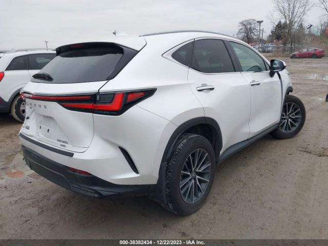 Photo 3 VIN: 2T2AGCEZ5PC027473 - LEXUS NX 350 