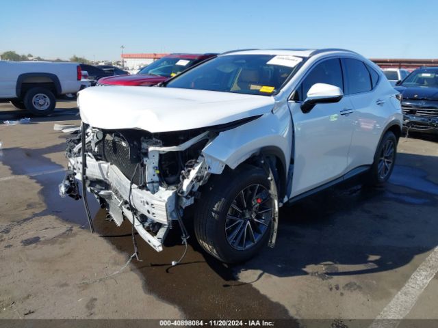 Photo 1 VIN: 2T2AGCEZXNC003053 - LEXUS NX 