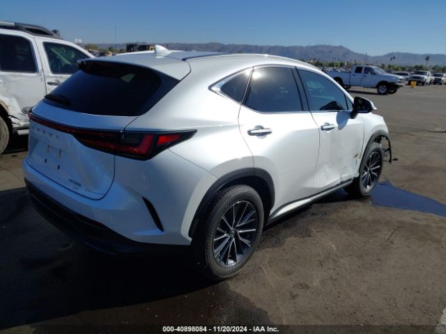 Photo 3 VIN: 2T2AGCEZXNC003053 - LEXUS NX 