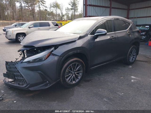 Photo 1 VIN: 2T2AGCEZXNC015235 - LEXUS NX 